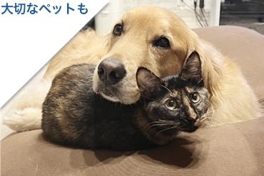 ペットという家族も健やかに